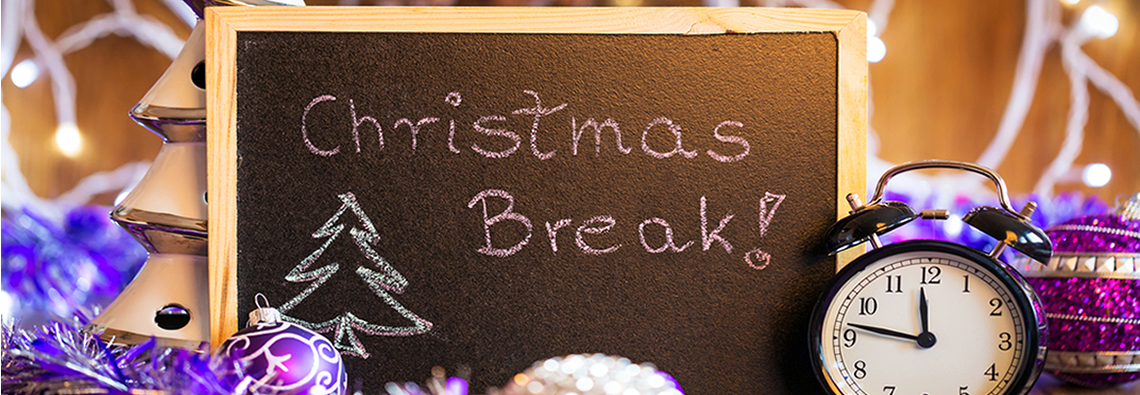 Public School Christmas Break