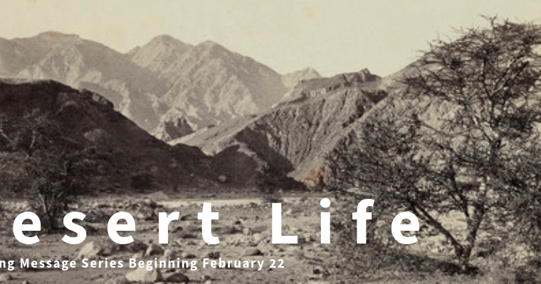 Desert Life